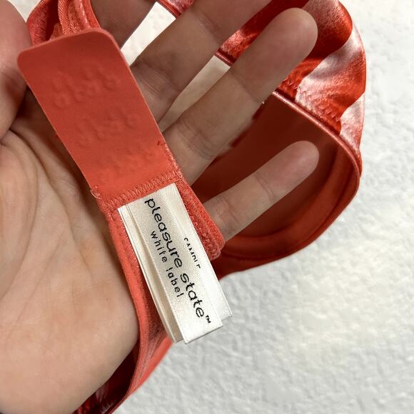 Pleasure State White Label Bra Womens Size 34B Red Stripe Black Lace SAMPLE - Picture 6 of 6